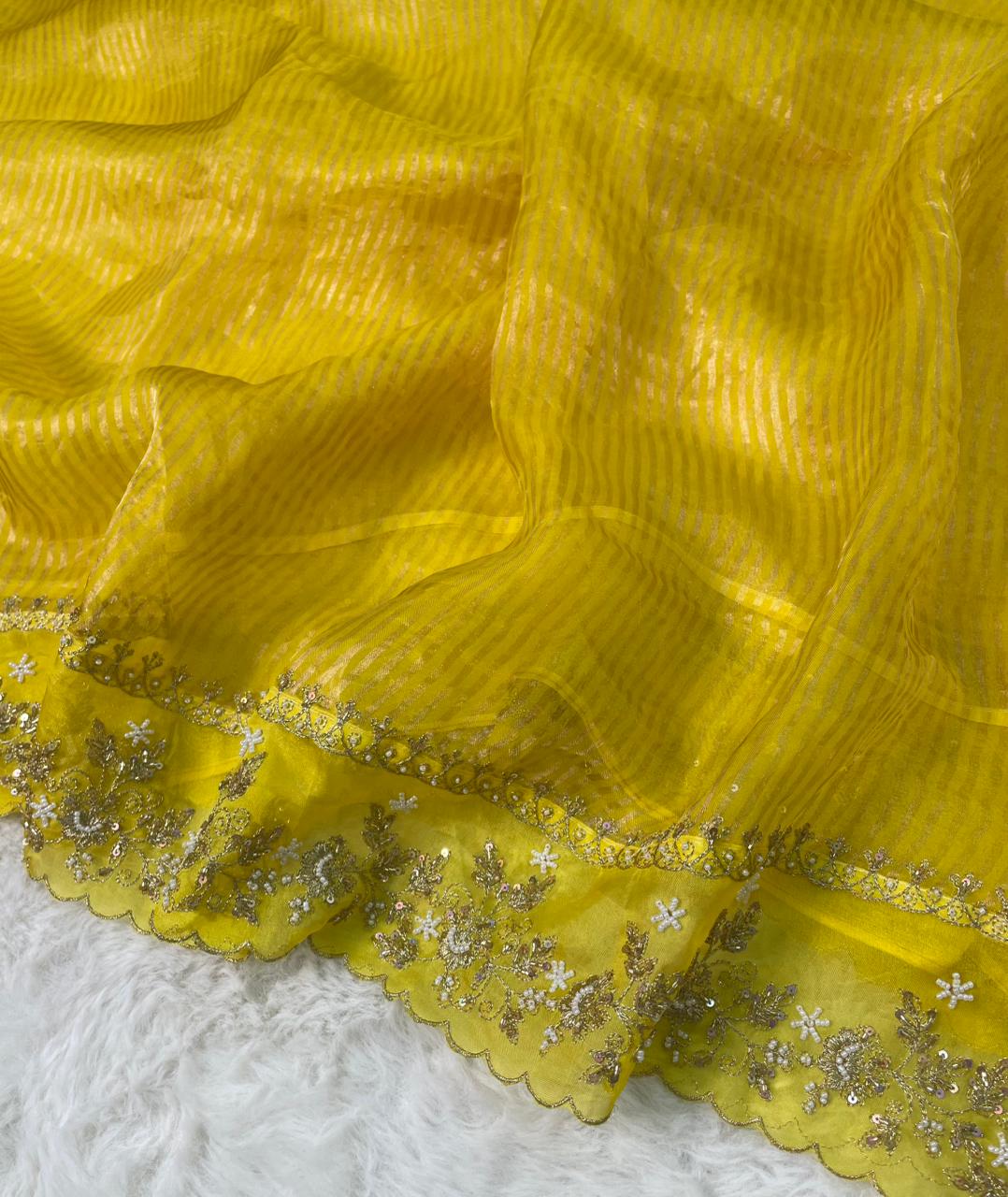Pure Tissue Handwork Designer Border Saree