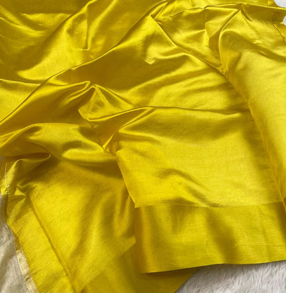 Banarasi Pure Tissue Saree Satin Border