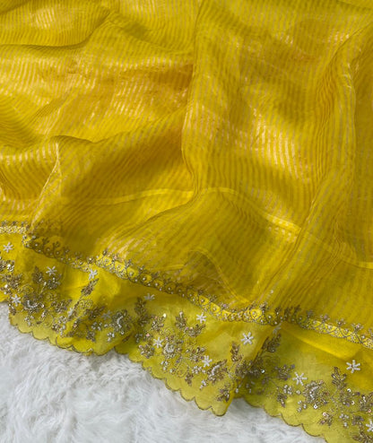 Pure Tissue Handwork Designer Border Saree