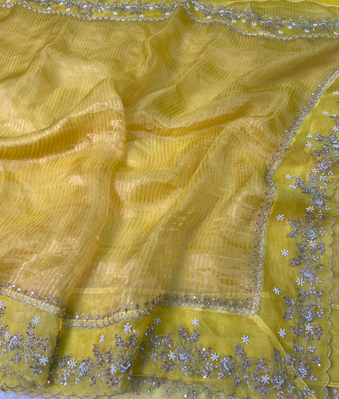Pure Tissue Handwork Designer Border Saree