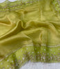 Banarsi Pure Kora Tissue Handwork Embroidery