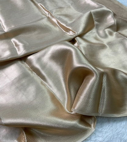 Pure Tissue Petit Point Embroidery Saree
